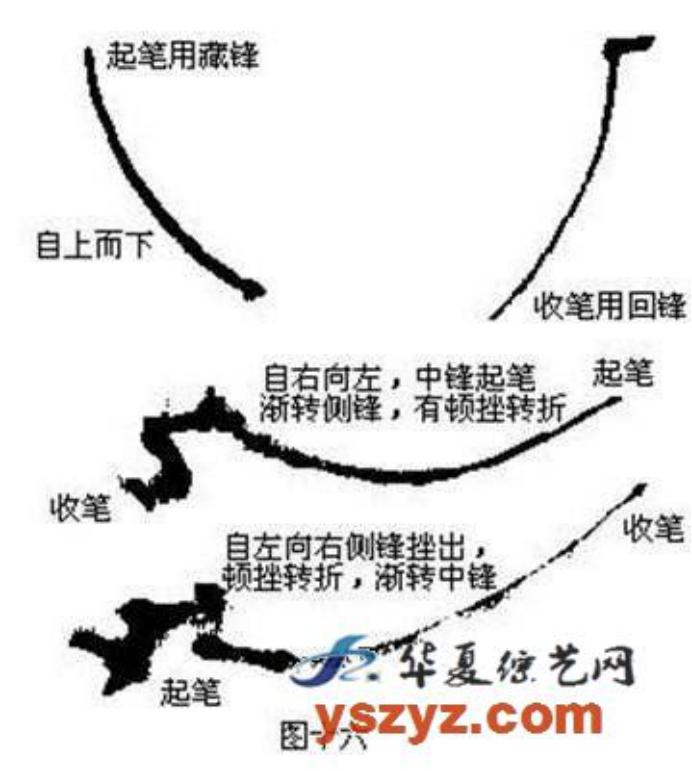 梅花画法简笔画,梅花画法的视频