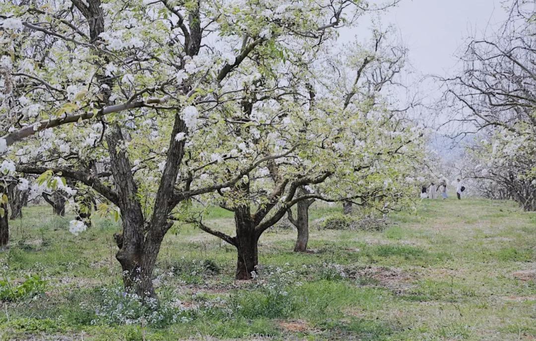 昆明亲子游自驾游攻略推荐路线,昆明周末亲子游十大好去处