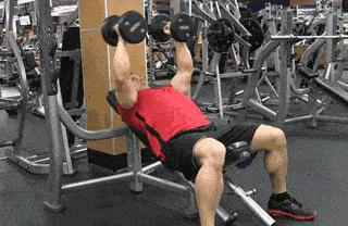 想要胸肌显大练哪里,想要胸肌有型怎么做俯卧撑