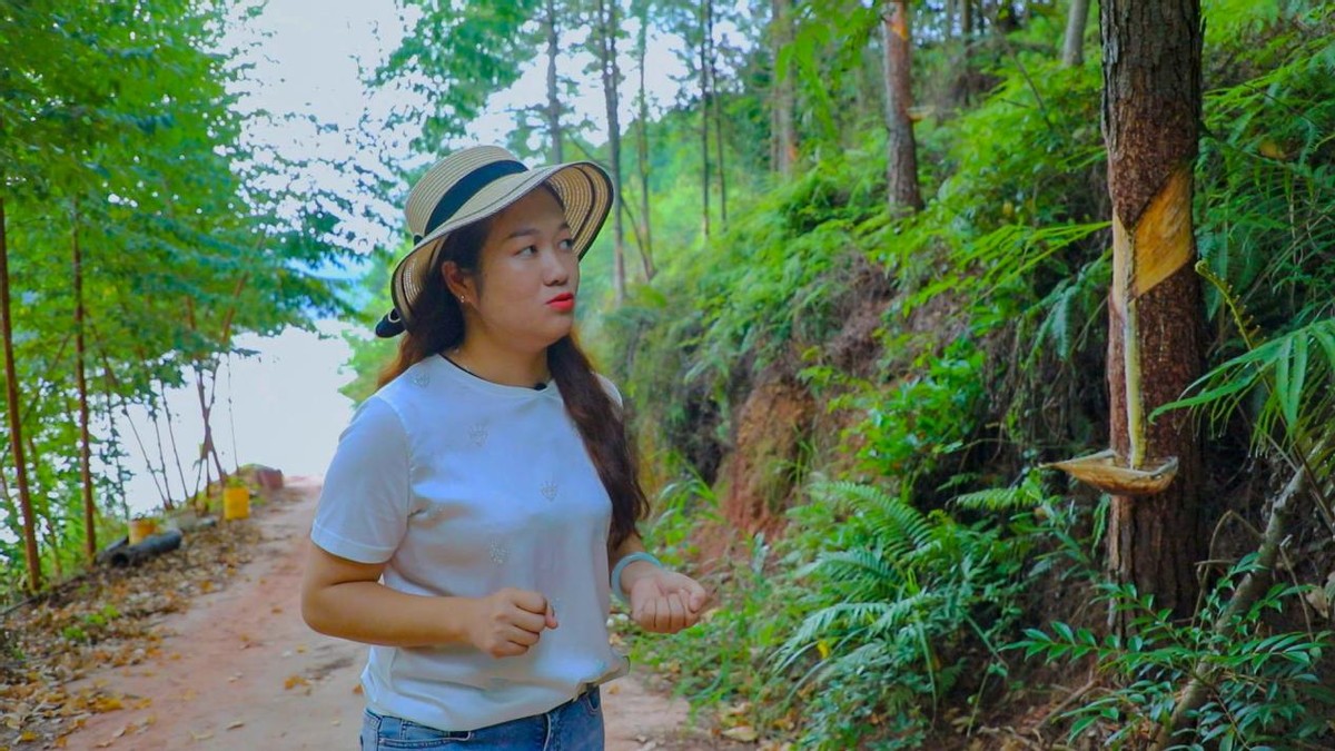 环广西8天游攻略,环广西7天自驾游