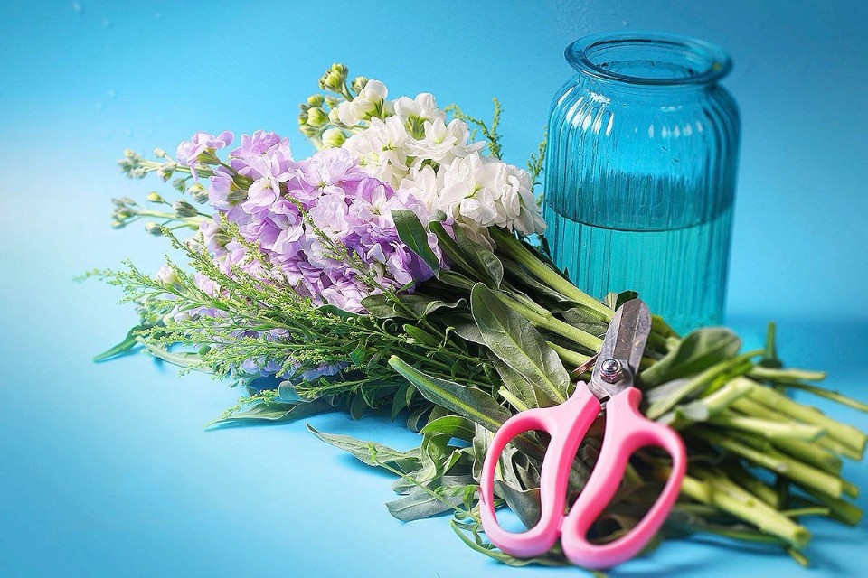 花语大全：各种鲜花的花语，不同颜色寓意也不一样啊