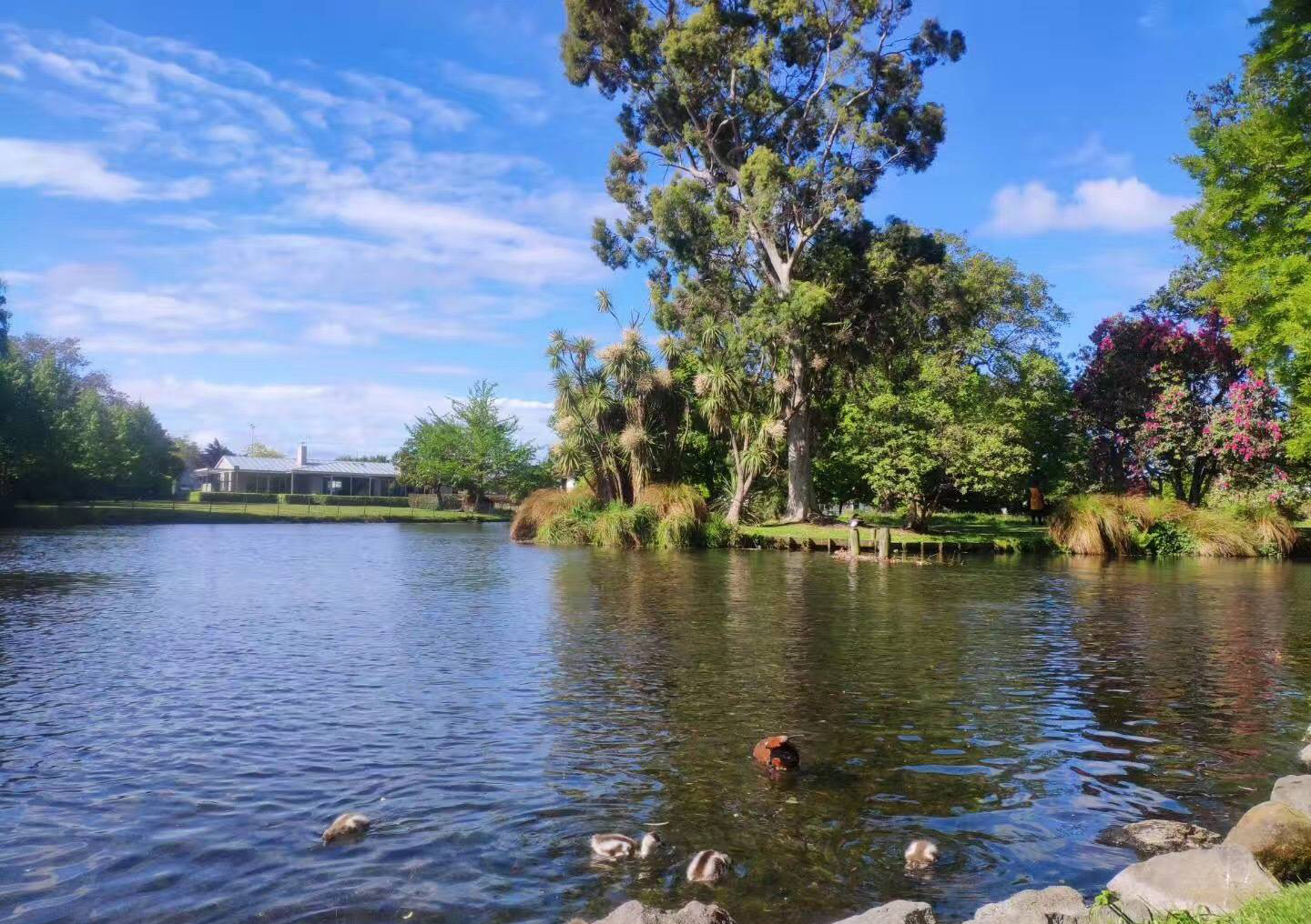 新西兰林肯大学位置,新西兰林肯大学