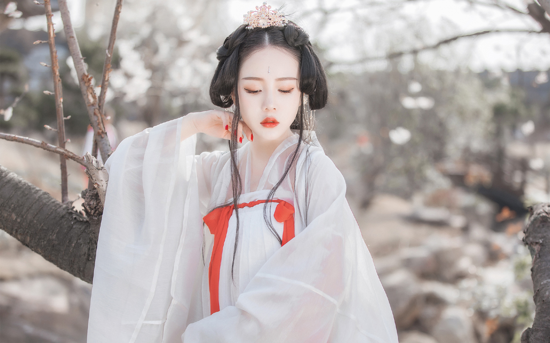 美人泪相思劫,美人画卷