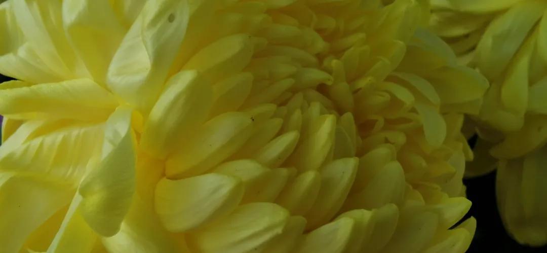 c++虚函数基类需要实现吗,c++构造函数初始化变量