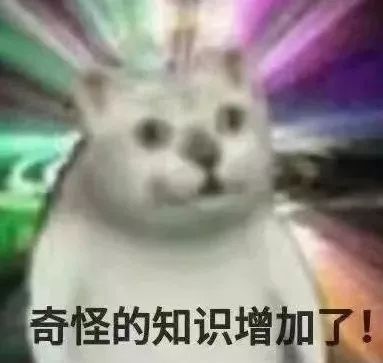 哪些不看歌词听起就很奇葩的歌,那些很奇葩的歌