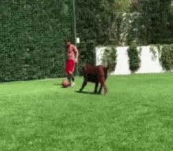 梅西和c罗在球场对抗,梅西自我隔离