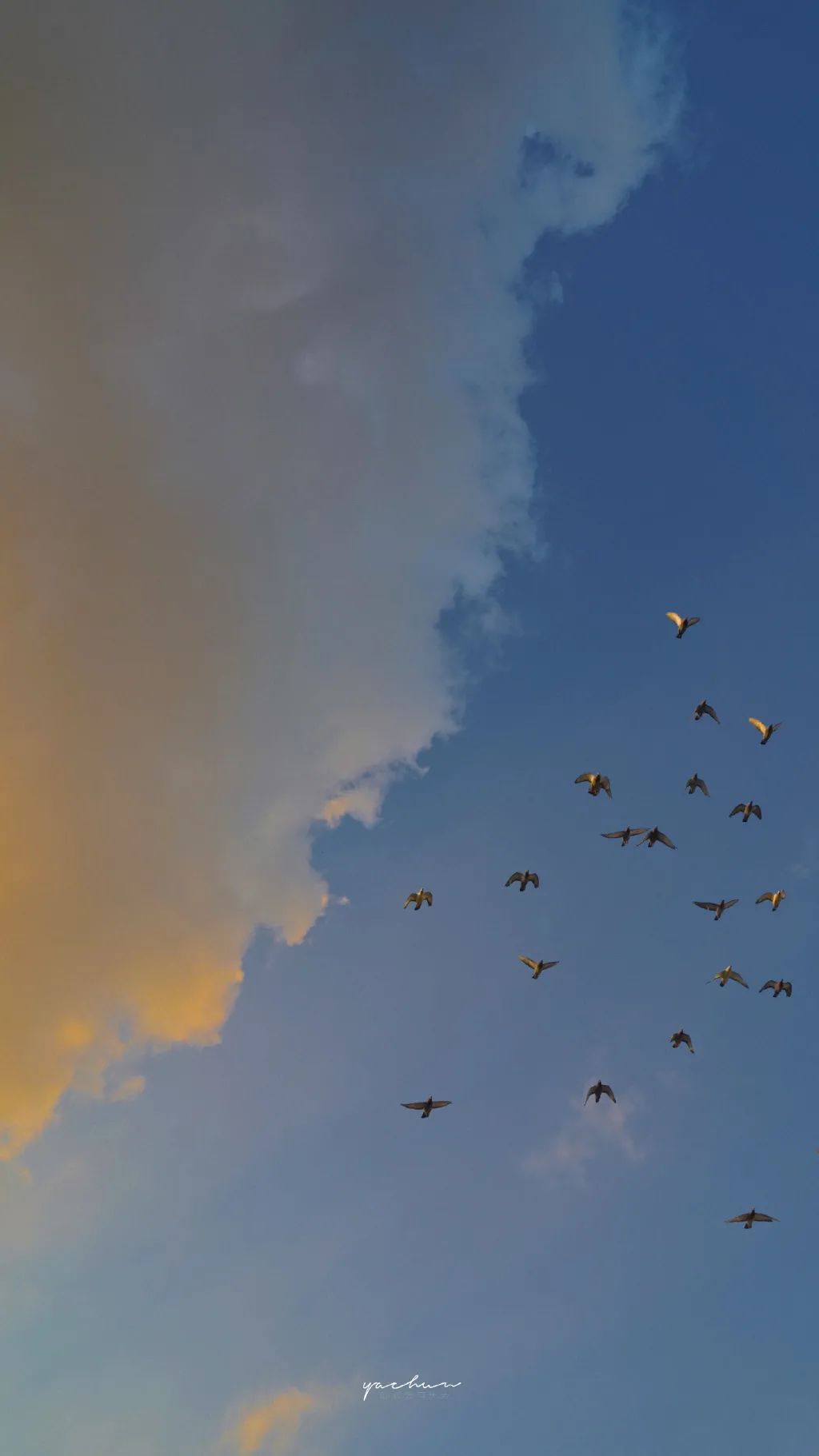 微信可爱聊天背景图壁纸,有趣的聊天背景图片壁纸