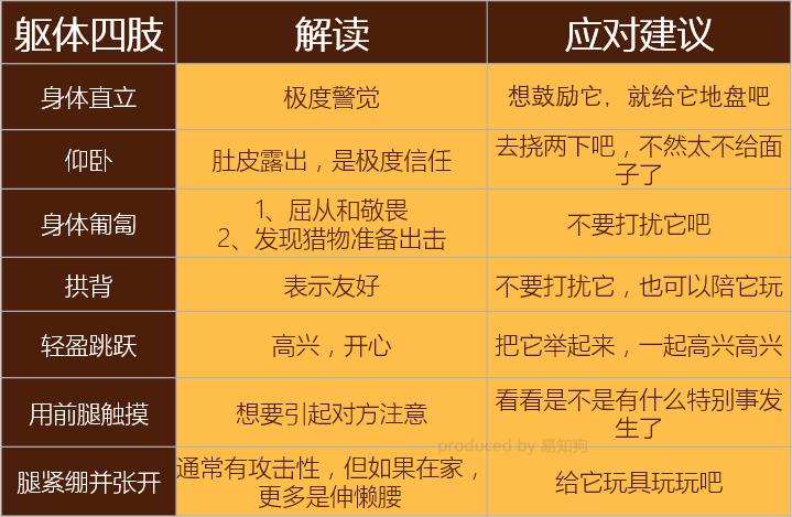 狗狗尾巴动作代表的含义,狗狗的尾巴动作代表的含义