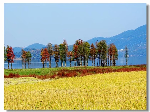 余姚四明湖开元山庄,余姚四明湖开元山庄自驾游
