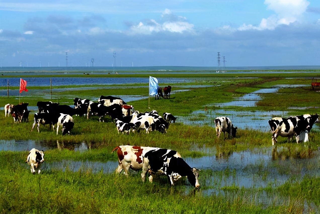 全国农业龙头企业500强分布,中国农业500强企业