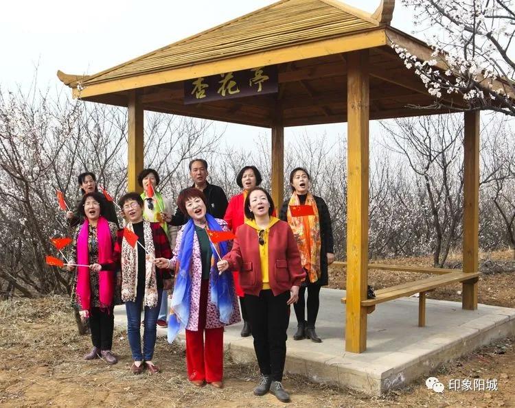 晋城哪里可以春游,晋城附近春游景点