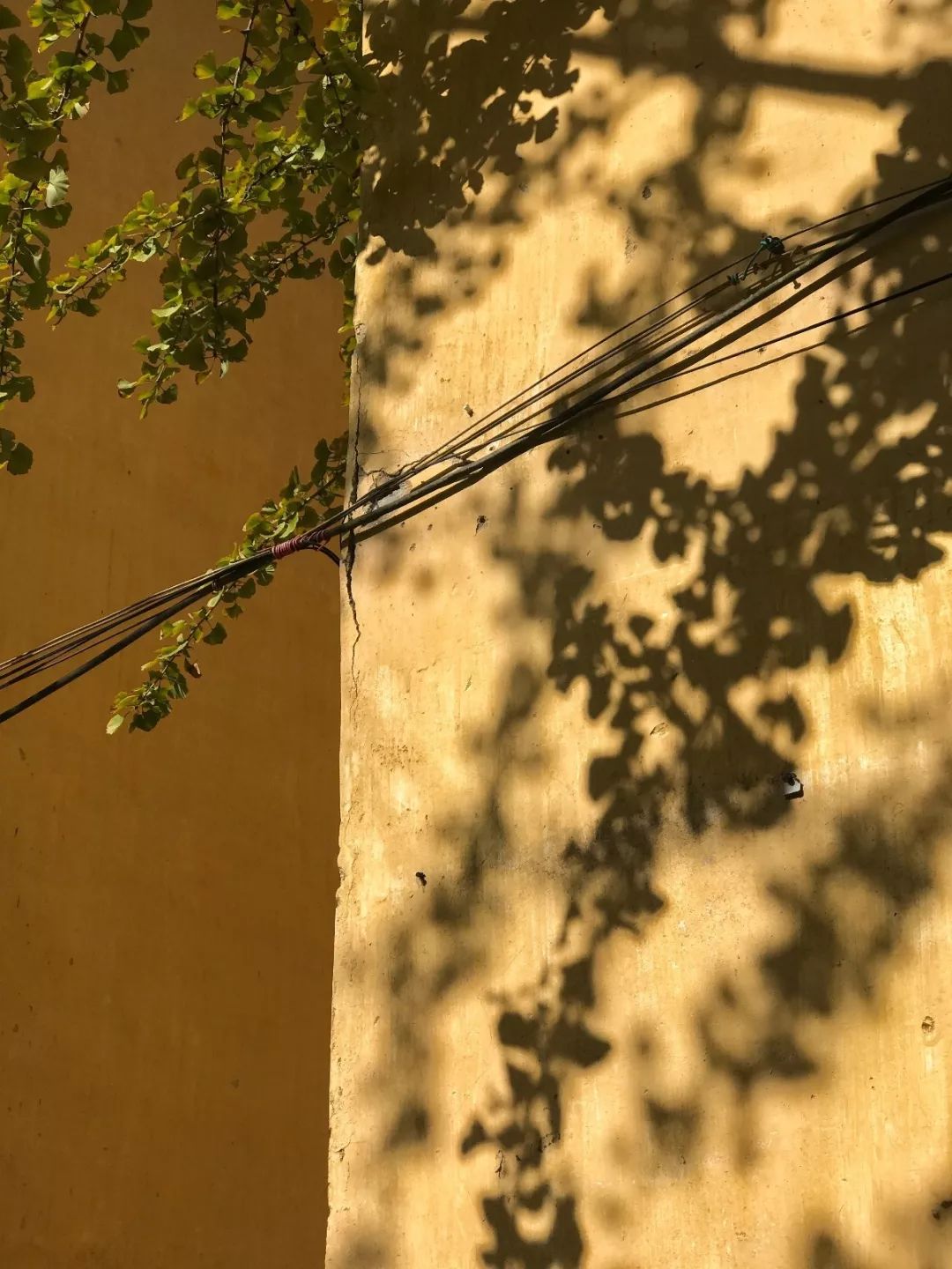 iphone原相机拍照磨皮修图,iphone好用的拍照修图软件