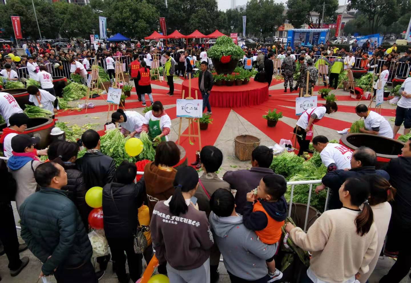 宁波太白湖短程马拉松,宁波九龙湖国际马拉松