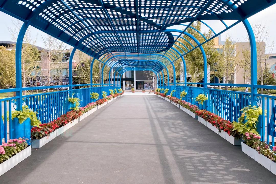 二十一世纪大厦怎么样,二十一世纪大厦照片