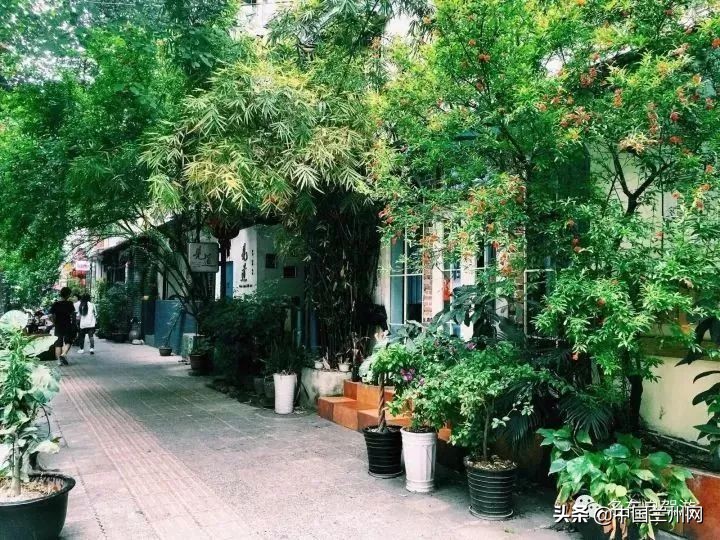 兰州到甘谷绿巨人开通时间,兰州至上海绿巨人