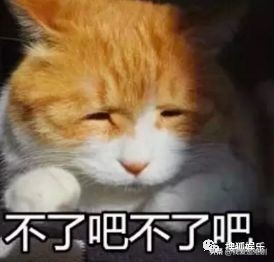 赵薇向男友人索吻,赵薇遭猴子索吻