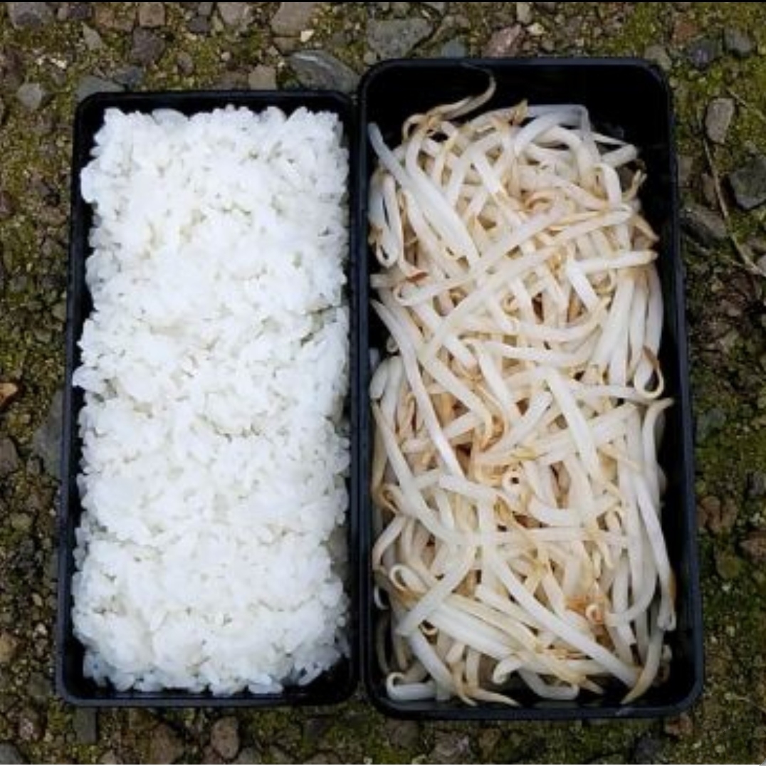 10分钟懒人便当,日本便当全过程