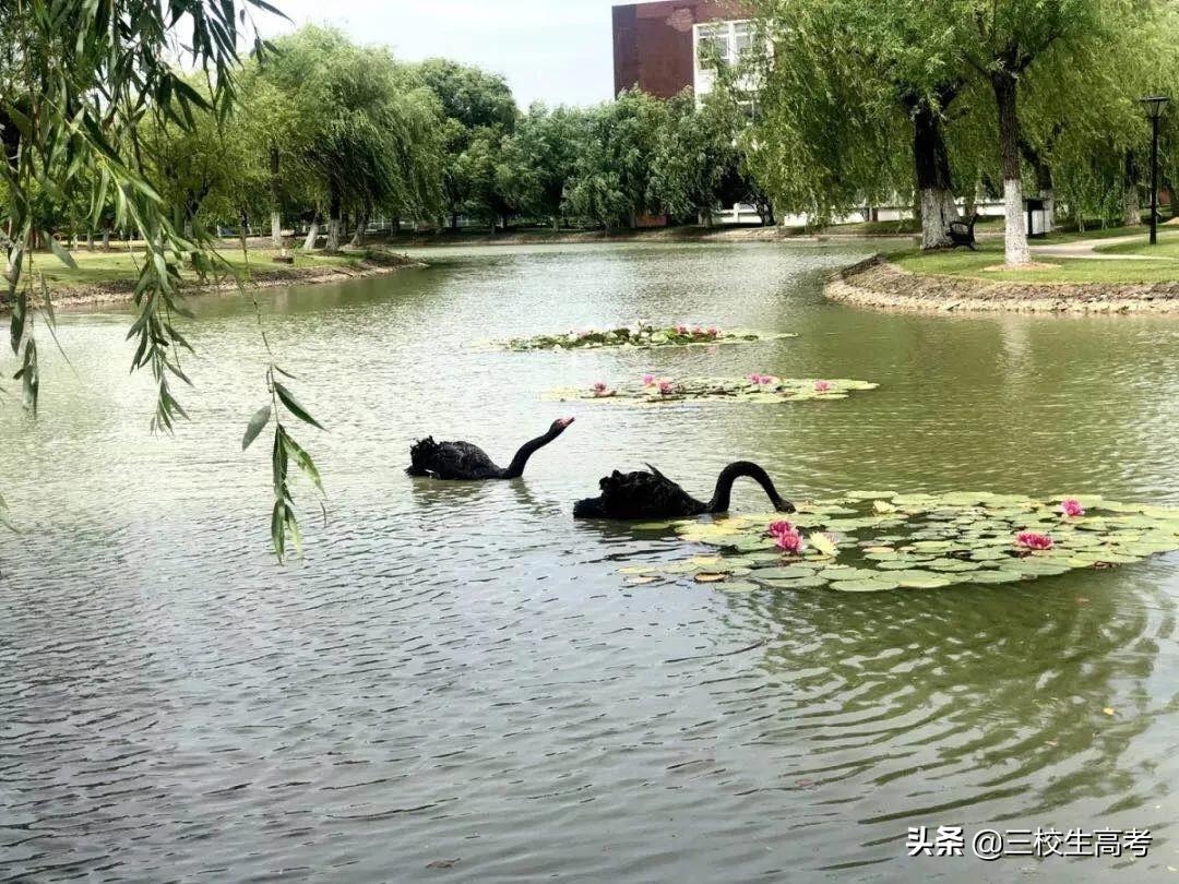 上海立达专升本报名条件,立达学院游学