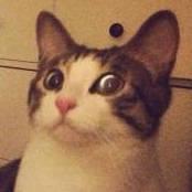 大牌双十一福利口红,双十一通通惊喜