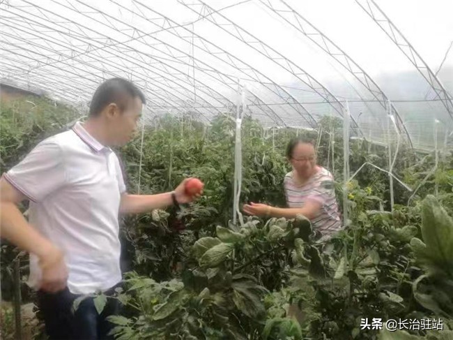 长治壶关邮储,壶关县邮政分公司