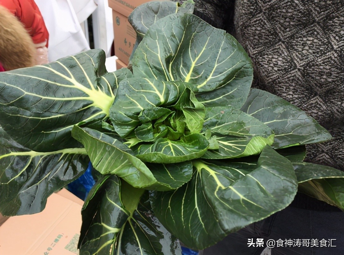 如皋长寿村每天饮食,如皋长寿的饮食习惯