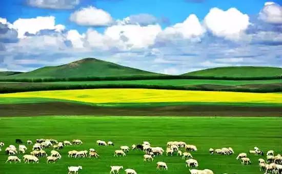 各地水果特产一览表,各地特产礼品一览表