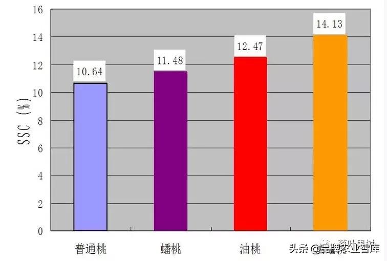 黄蟠桃和黄油蟠桃哪个更好,黄油蟠桃2019