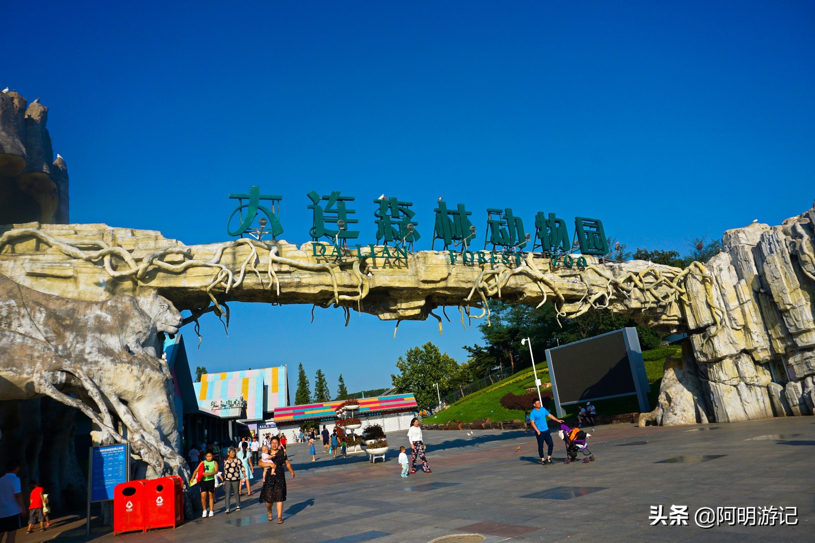 大连旅游景区推荐一下,大连哪些旅游景区值得去旅游