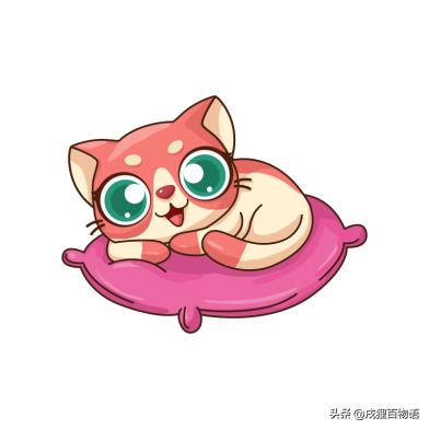 猫咪不怎么睡猫窝怎么办,猫主子不想起床