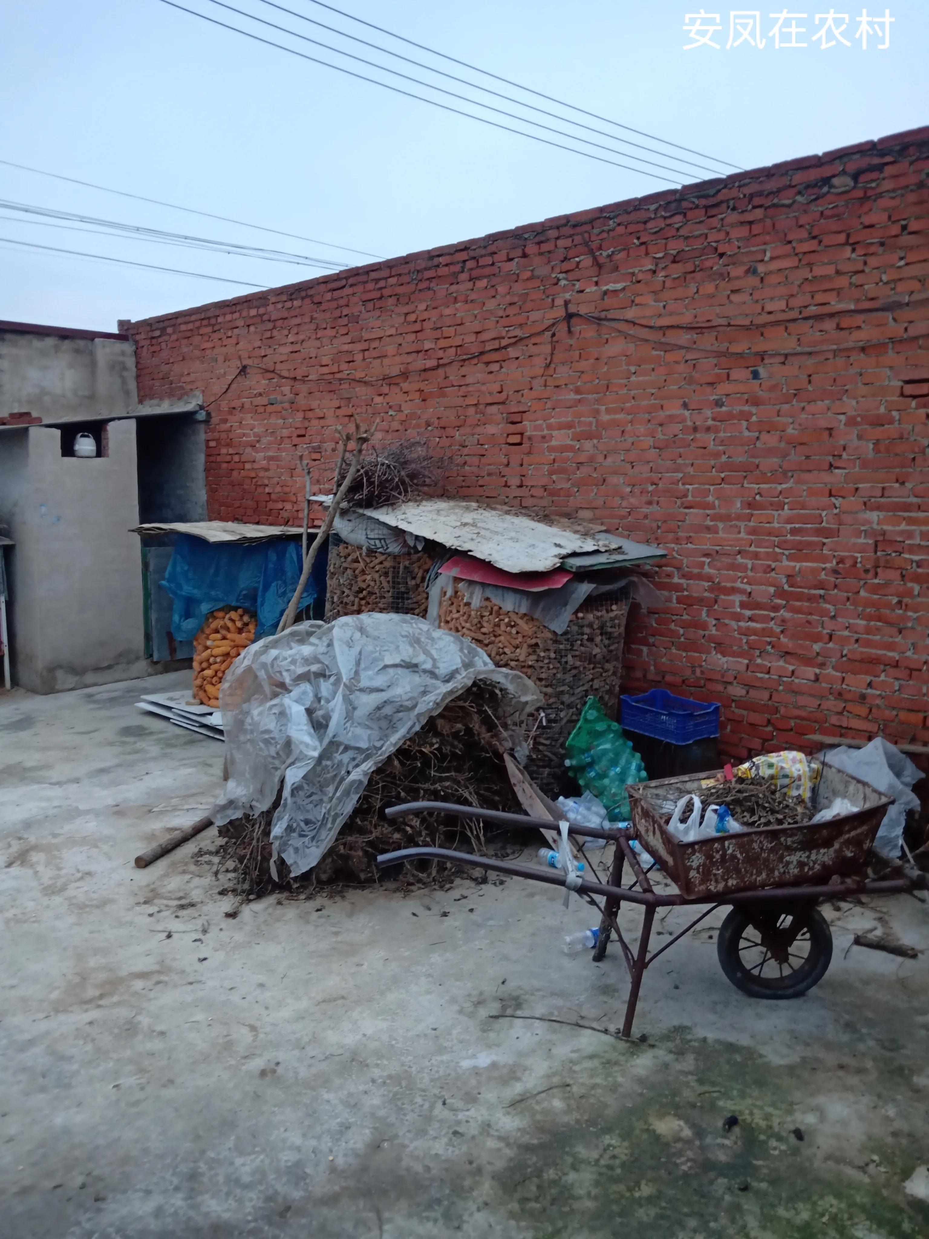 农村家庭办厂好项目有哪些,农村小型办厂投资