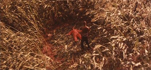 谁废除凌迟处死,谁下令腰斩商鞅