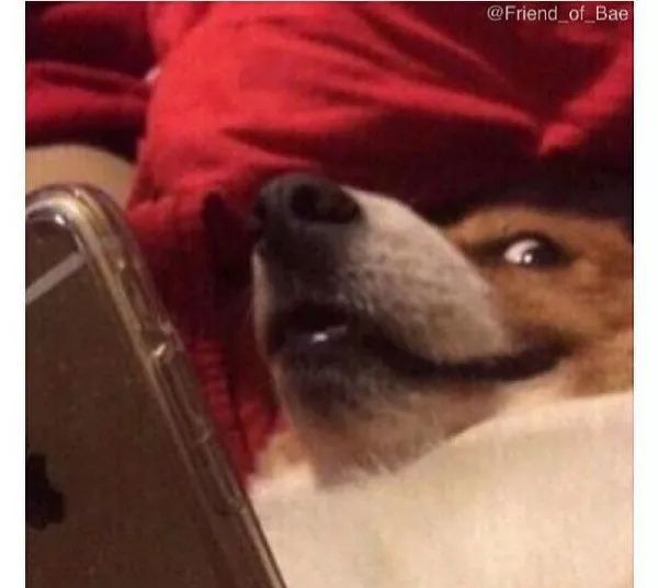 田园女权,国家对田园女权的看法