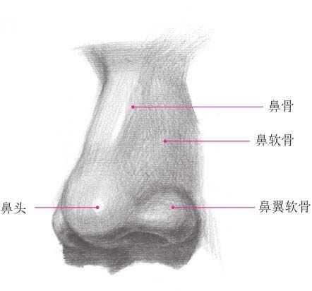 零基础怎样画最简单的素描教程,零基础的素描教程怎么画