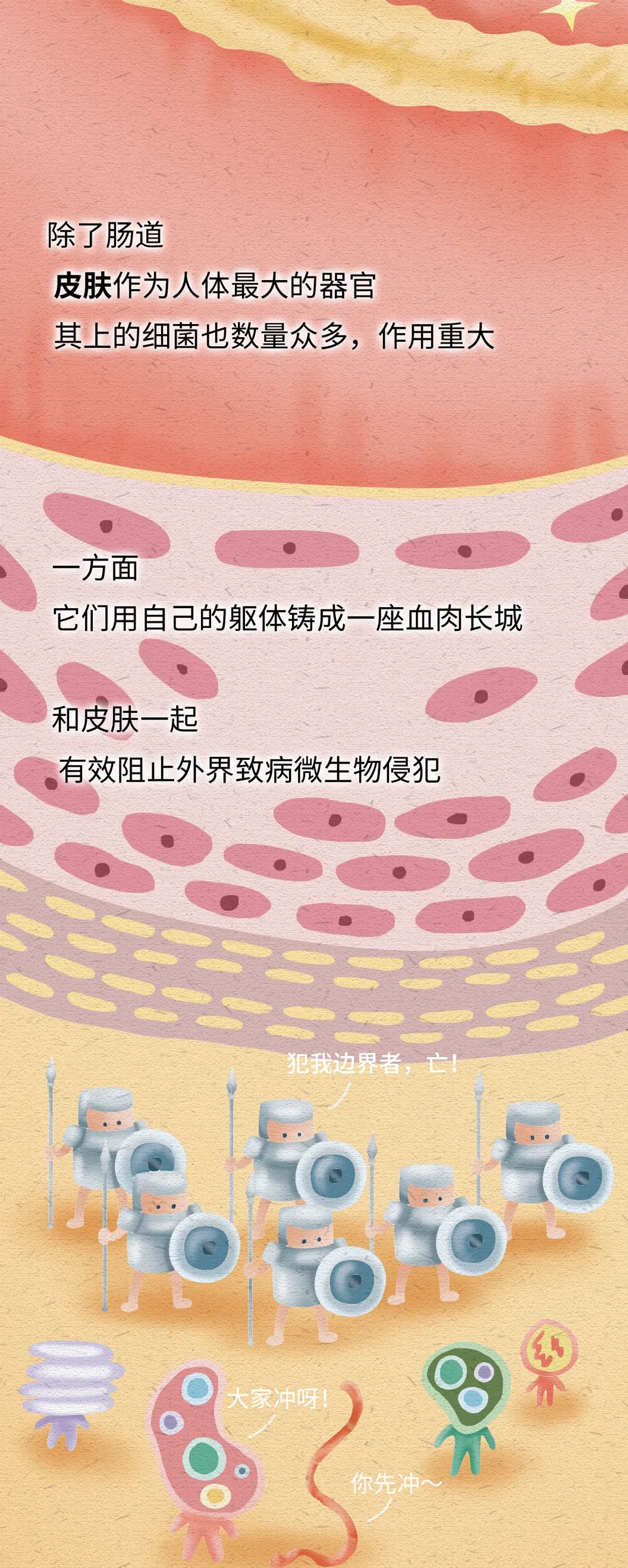 抑菌产品有哪些,长期使用抑菌产品的危害