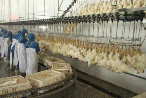 广东河源市2月电子电器、环保、轻工纺织食品、交通设施项目汇总