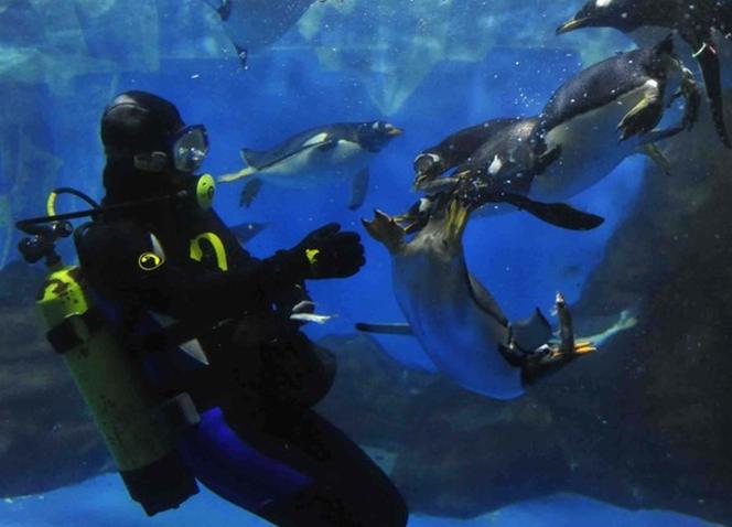 大连行程攻略,大连旅行攻略详细路线推荐图