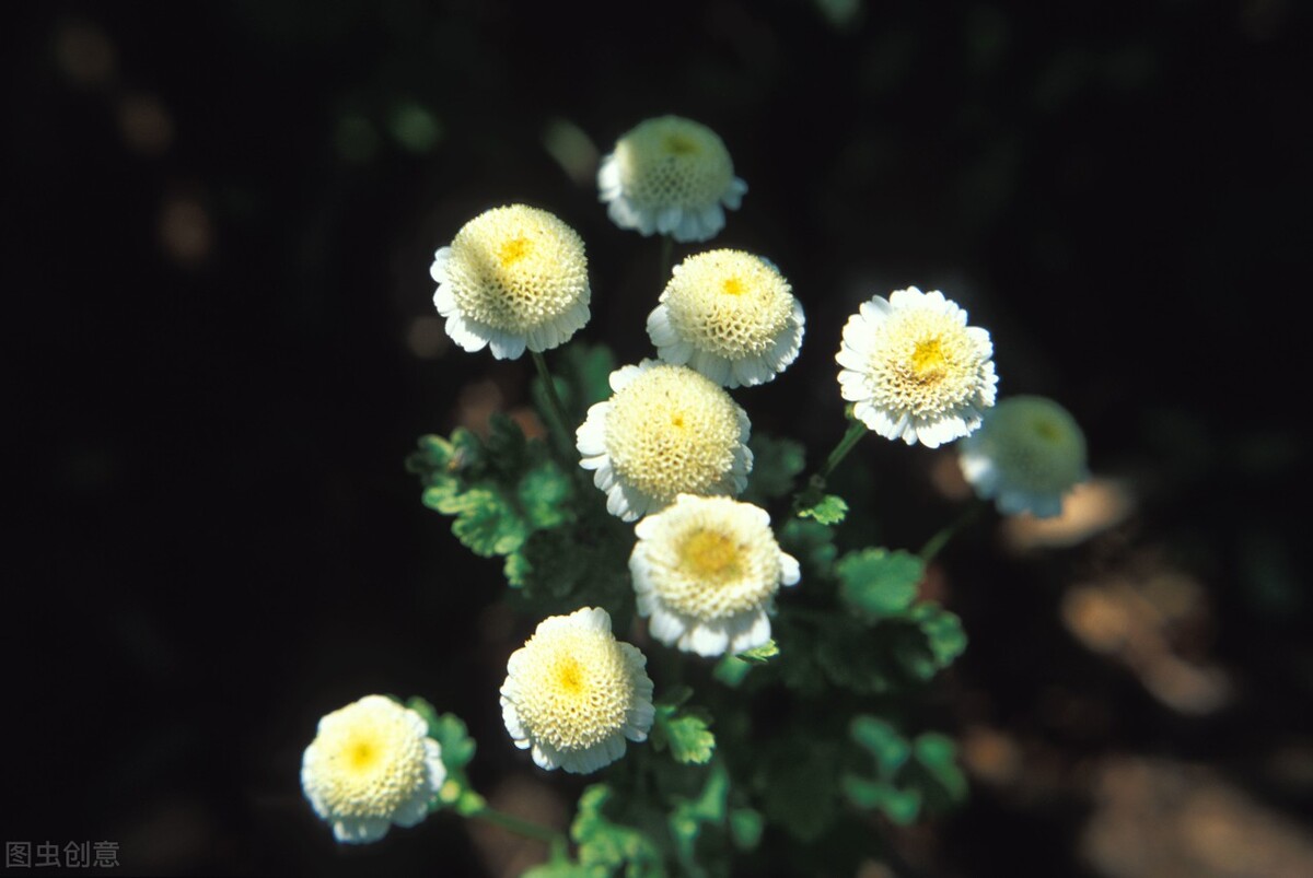 如果太阳消失了地球会干什么,如果太阳消失了人类可以存活多久
