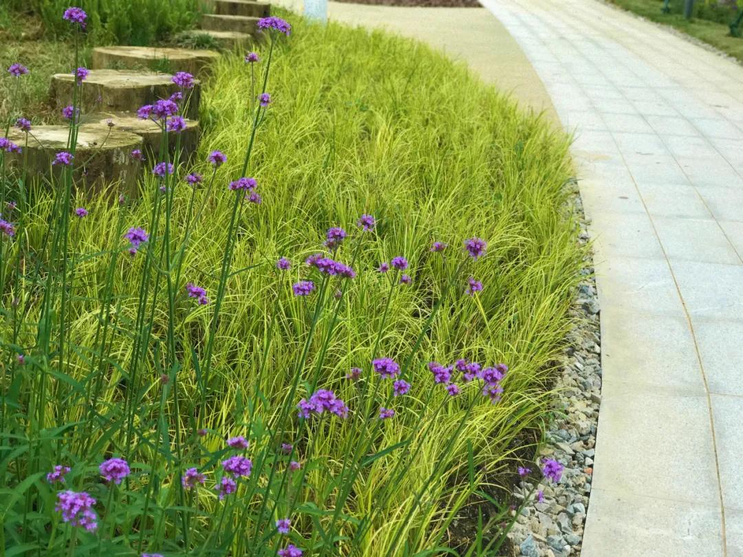 篮球场亲子运动健身,全民健身公园篮球场开放时间