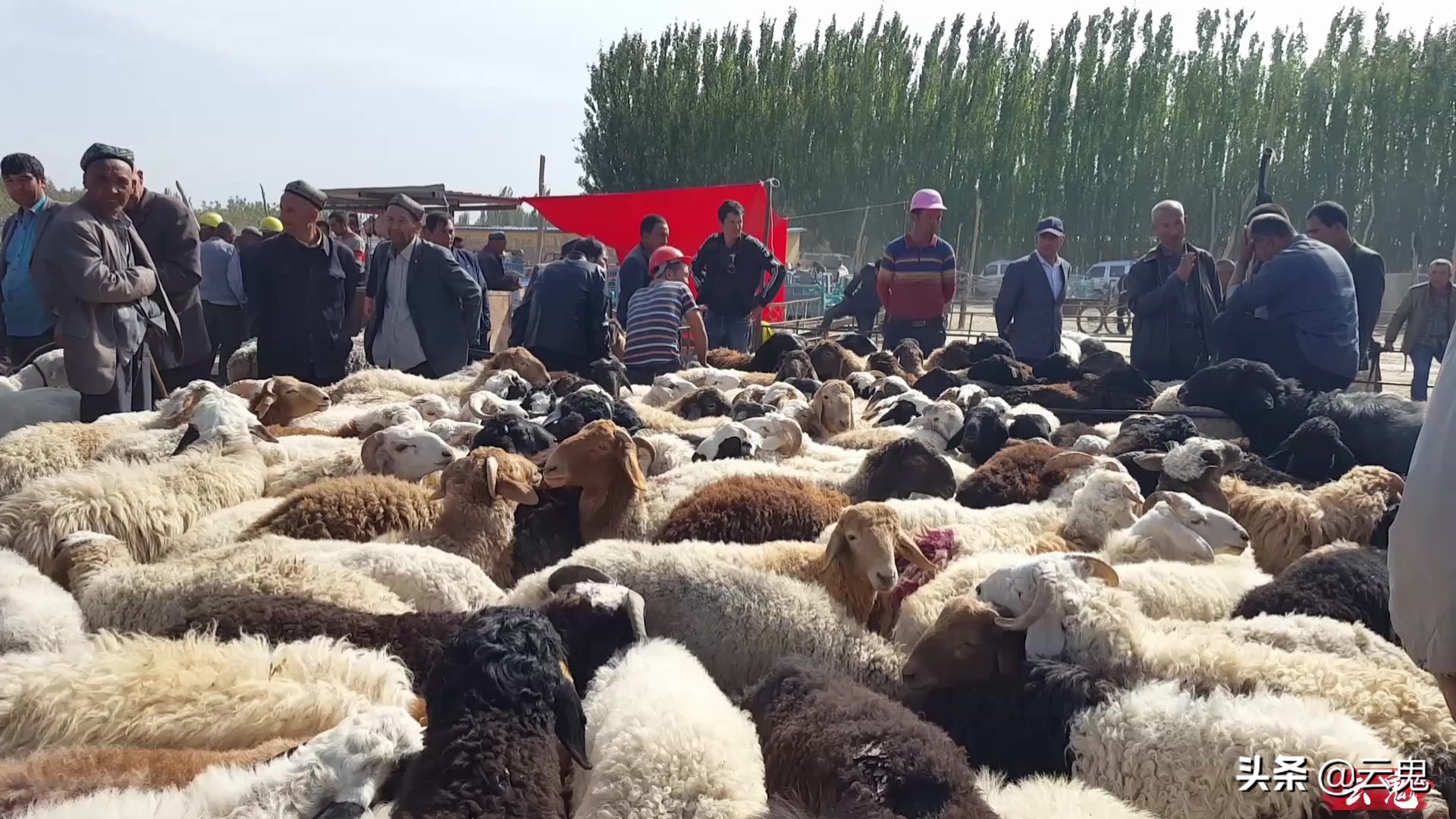 *疆新**印象，*疆新**人原来是这样的，他们太真实