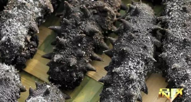 为什么海参是补品,为什么海参吃起来很腥