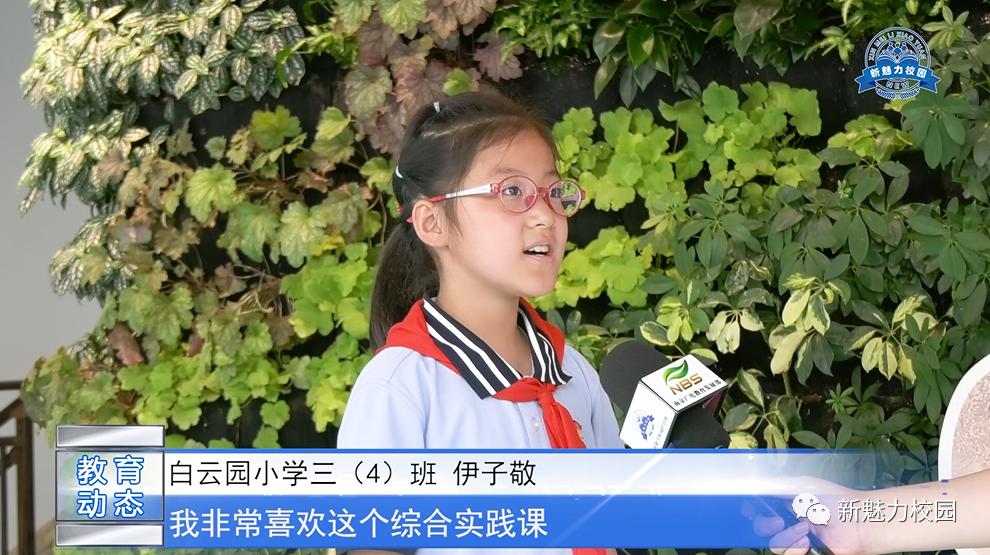 教育动态构建知识论坛白云园小学打造特色学习新生态