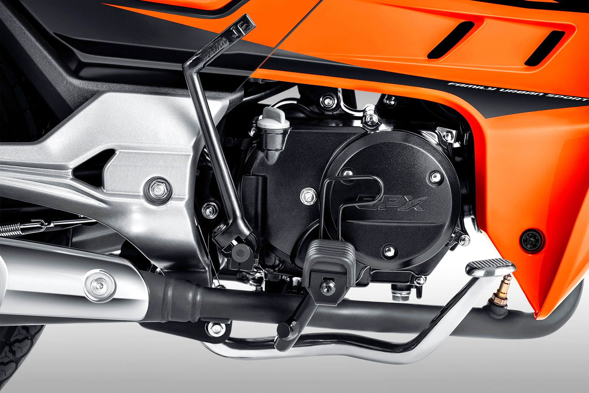 新瓶装老酒图片,老酒酒瓶图片大全