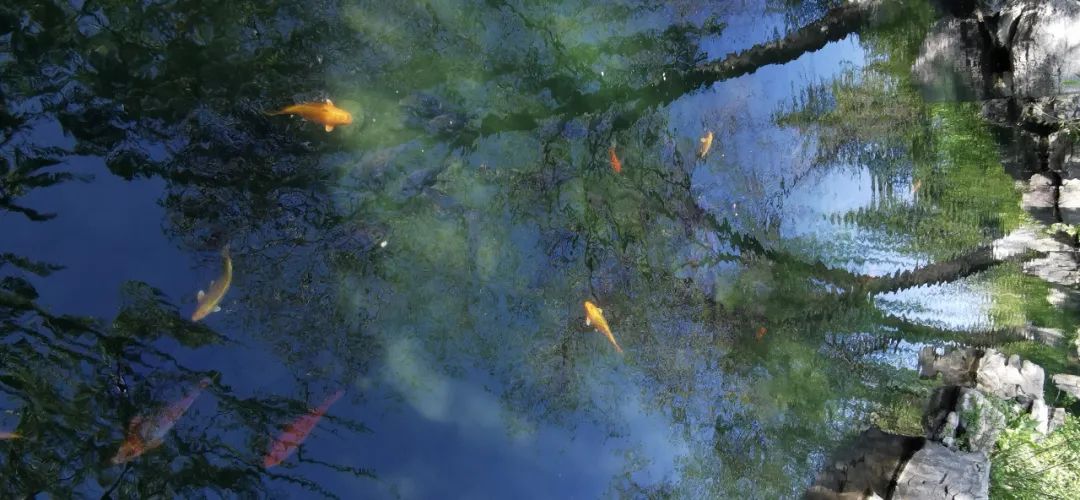 济南适合带孩子去的地方春天,周末遛娃的好去处好玩又免费济南