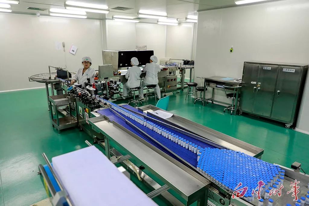 「白云名品」家中这些常备药品，原来都出自白云