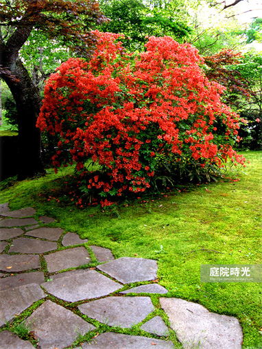 中式庭院古代老石板铺装,庭院铺装样式区域颜色搭配