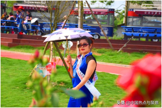 都江堰第三届菊花展,都江堰月季展览会