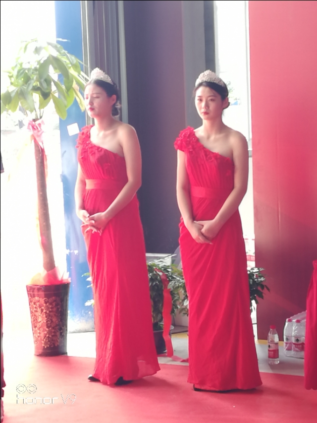 平头哥科技发展有限公司,平头哥科技企业