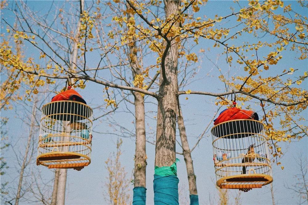 西安八月约会最佳地点,西安周末情侣最适合约会的地方