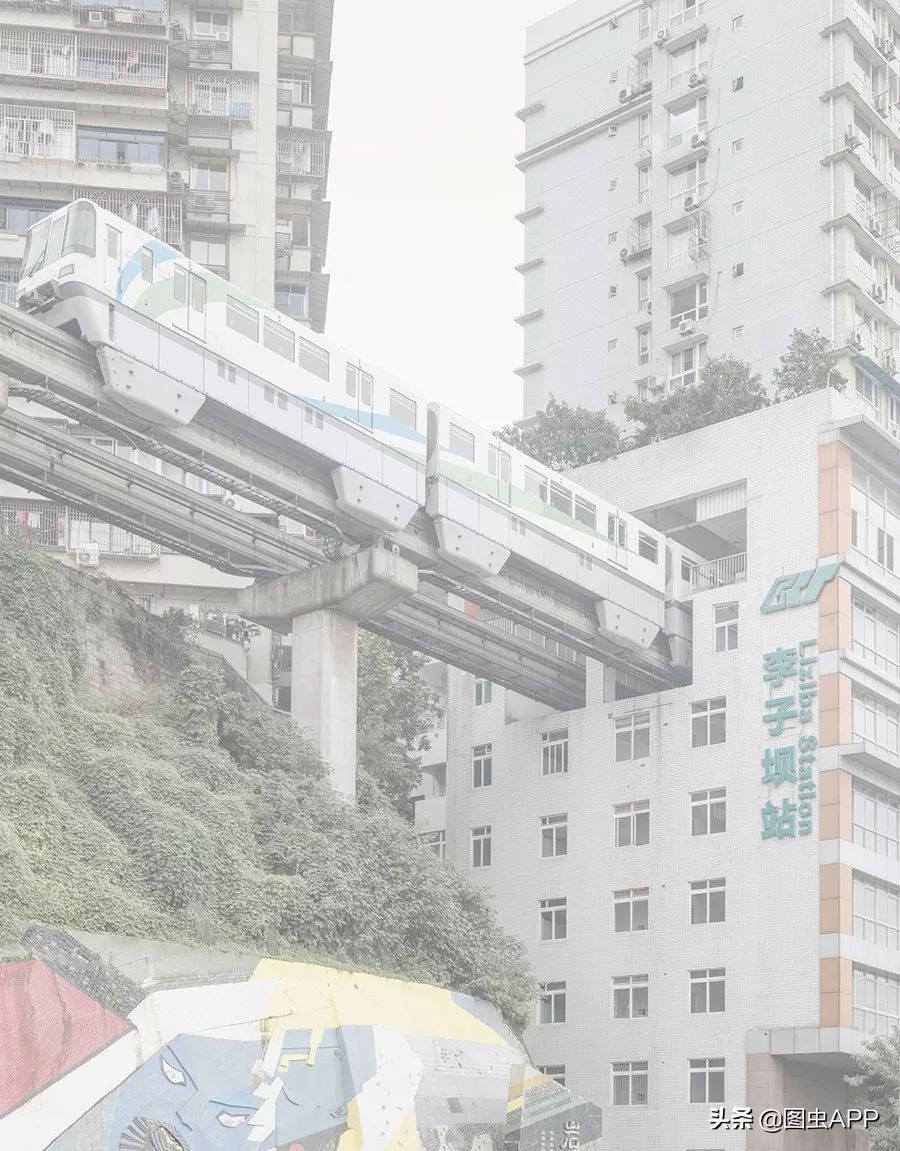 图虫opensealab摄影,图虫看动物世界系列