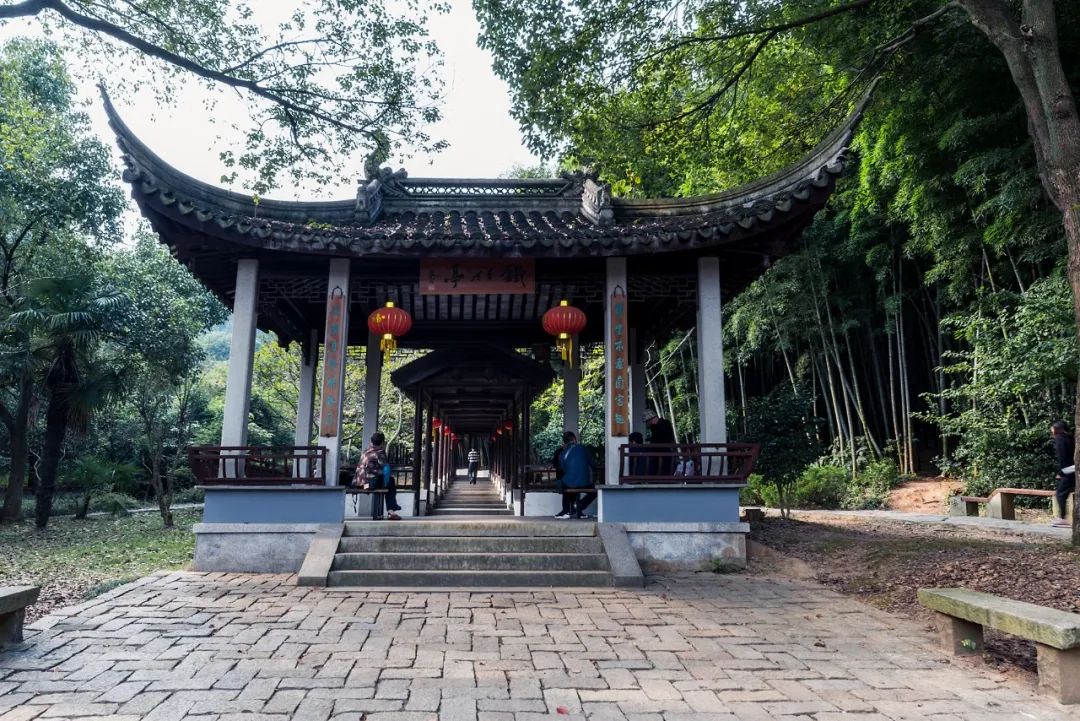 苏州夏季水上乐园最佳地点,夏季苏州